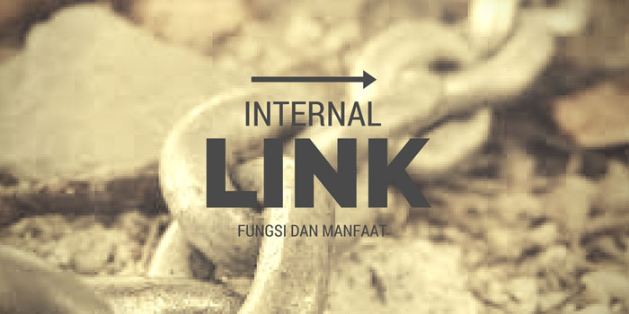 manfaat internal link