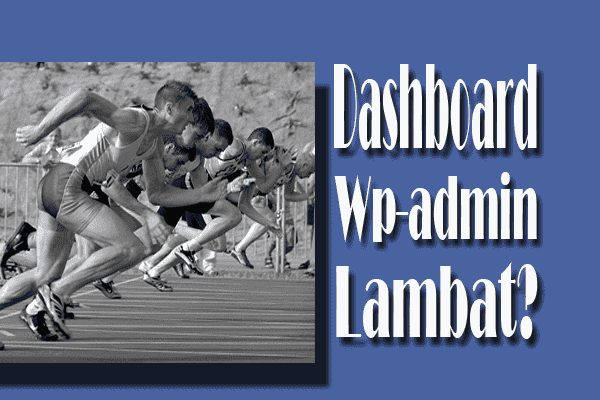 Penyebab Dashboard Wp-admin WordPress Lambat