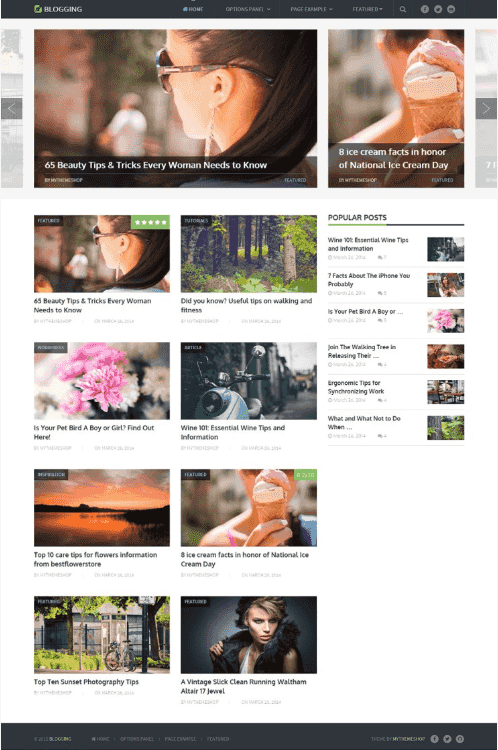 theme wordpress adsense