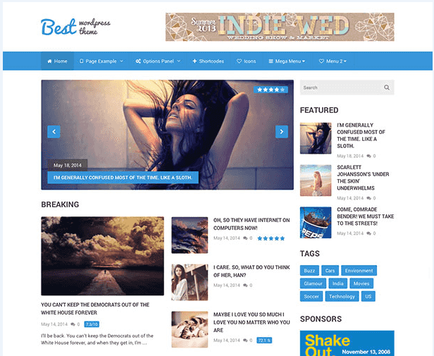theme wodrpress adsense