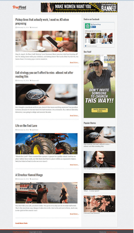 theme wodrpress adsense