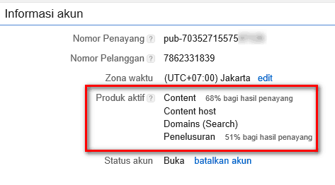 pengaruh custom domain