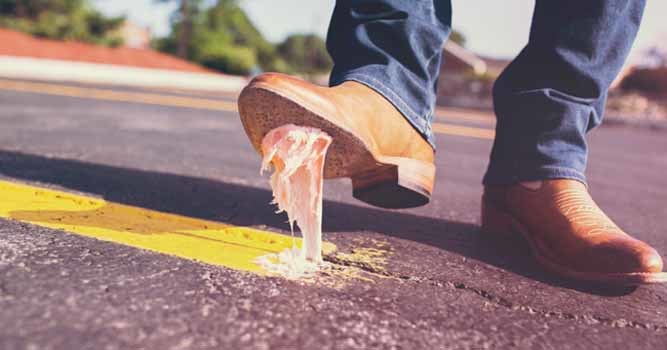 kesalahan Mendasar Dalam Ngeblog