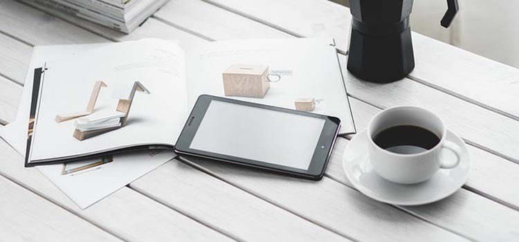 Menjadi Blogger Profesional