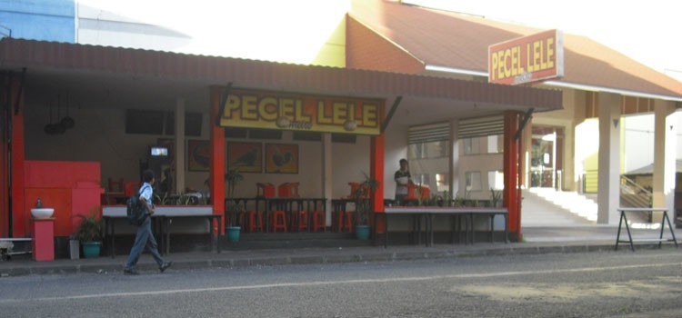 Usaha Warung Pecel Lele