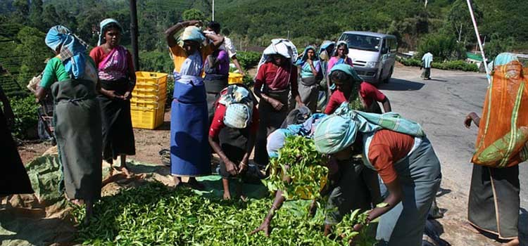 perkembangan bisnis daerah Indonesia