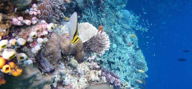 Wisata Terbaik di Indonesia