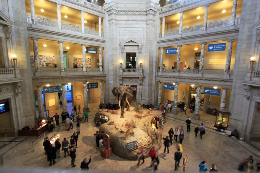 Inside the main entrance of National History Museum in Washington DC, USA
