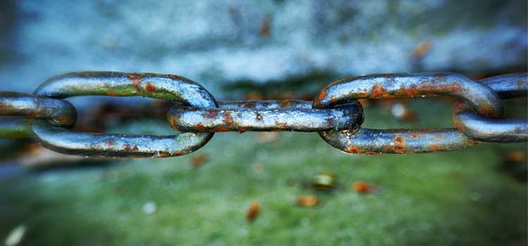 backlink berkualitas