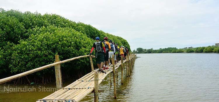 Pantai di Yogyakarta