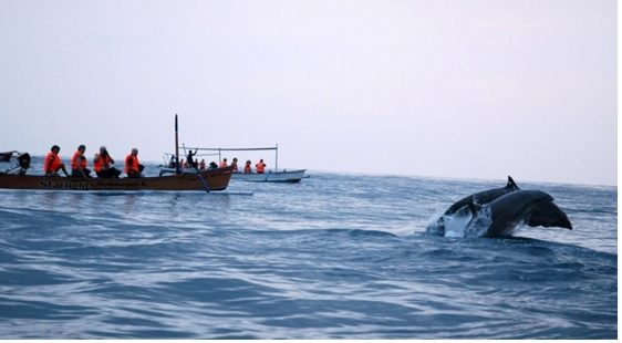 Destinasi Wisata di Pulau Bali