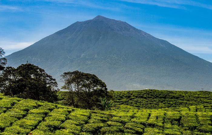 gunung untuk pendakian