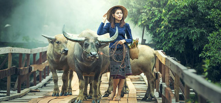 Mensiasati Harga Kebutuhan Pokok