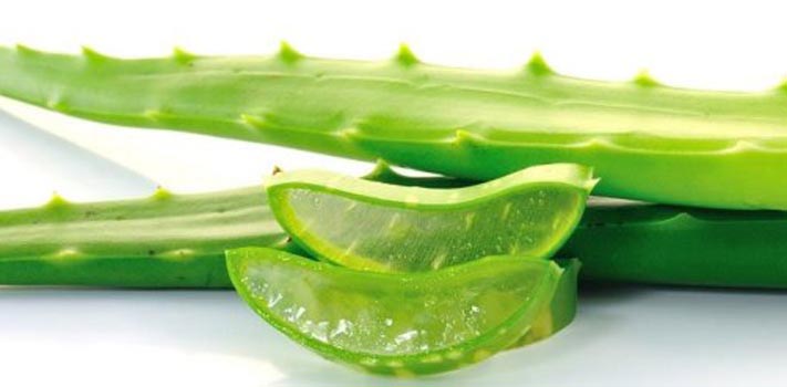 Tanaman Pekarangan Yang Bisa Membuat Wanita Cantik Alami