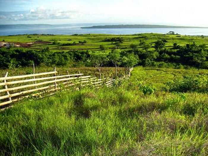Puncak tomia wakatobi