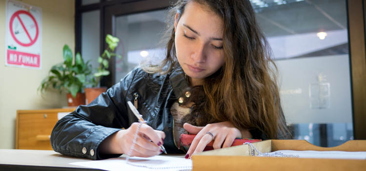 Menjadi Guest Writer