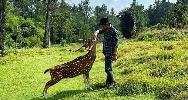 Objek Wisata di Bogor