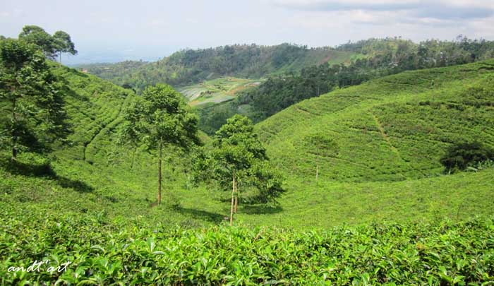 Tempat Wisata di Karanganyar