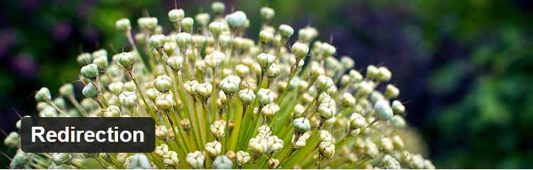 plugin wordpress yang wajib di instal