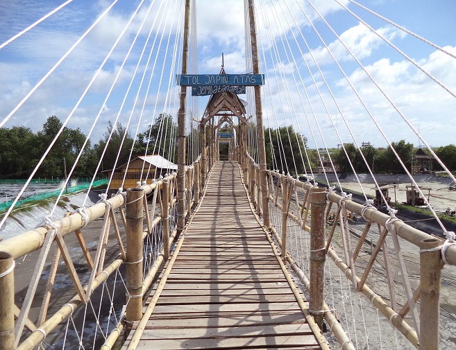 jembatan api-api hutan mangrove kulon progo