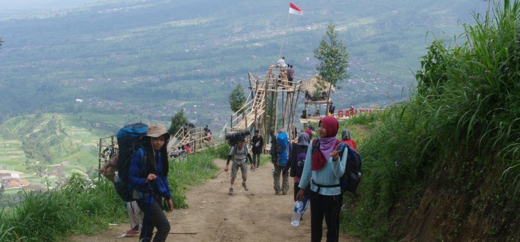 Gancik Hill Top