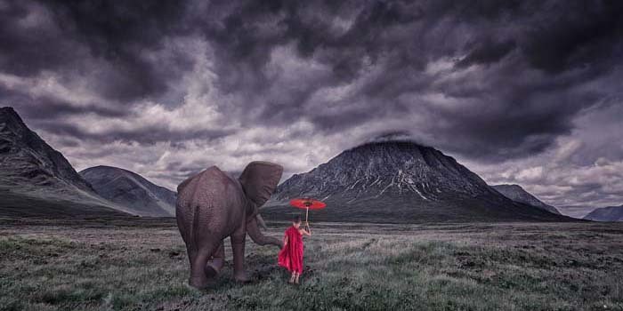 Mempelajari Fotografi