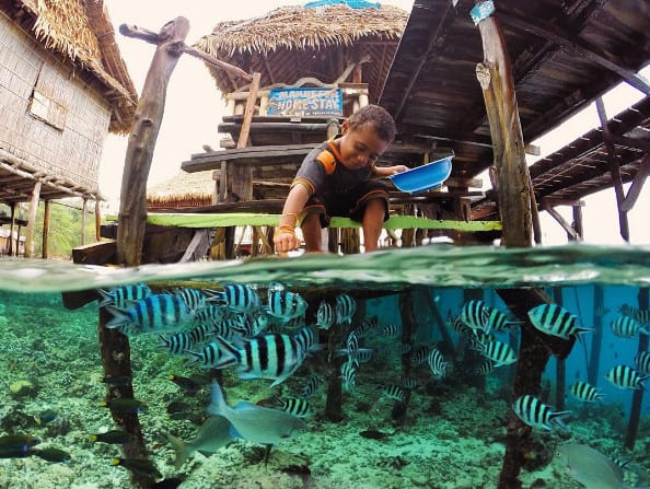 Tempat Wisata Terbaik di papua