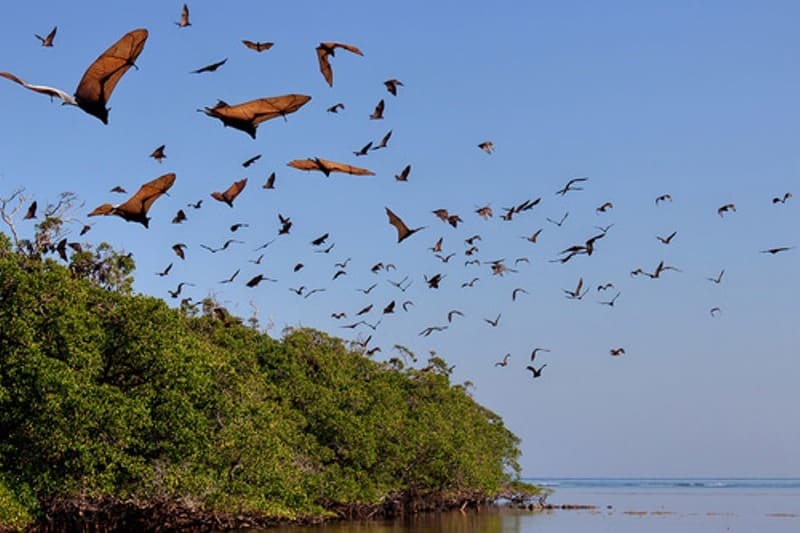 Taman Nasional Komodo