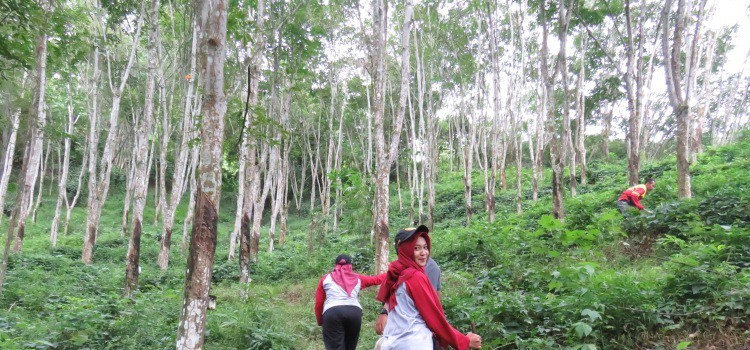 air terjun dong aron