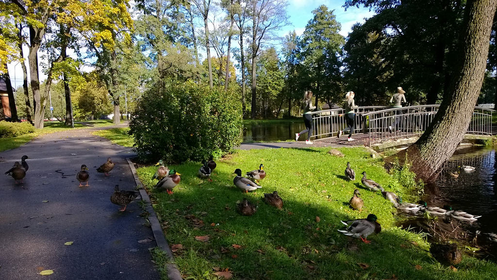 Smartphone dengan Megapixel Kamera Terbesar di Dunia