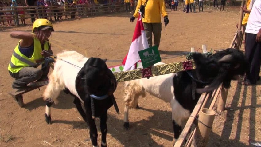 Tradisi Menjelang HUT RI