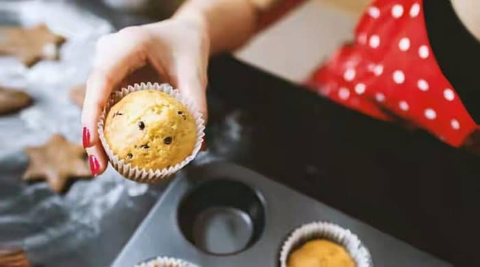 hobi jadi peluang bisnis menguntungkan