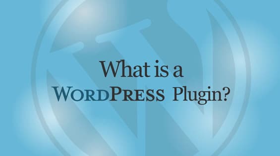 plugin penting dalam blog