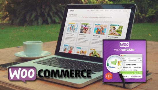 plugin wordpress untuk toko online