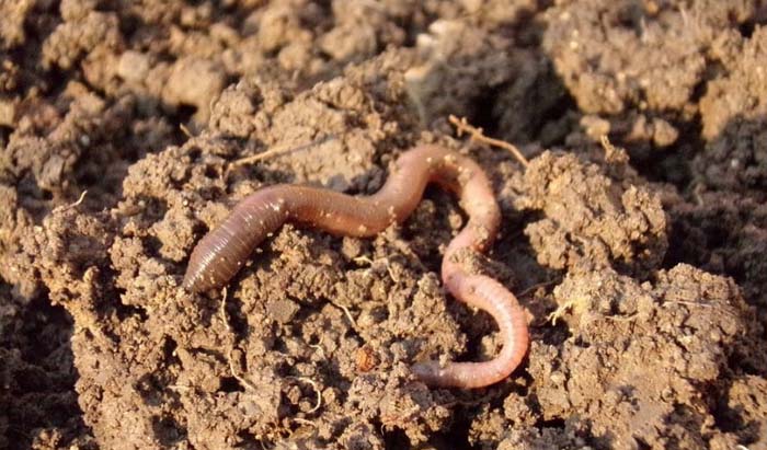 peluang usaha menguntungkan