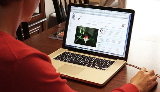 Aplikasi Berbasis Web