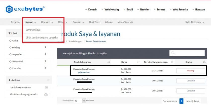 domain TLD Net Gratis