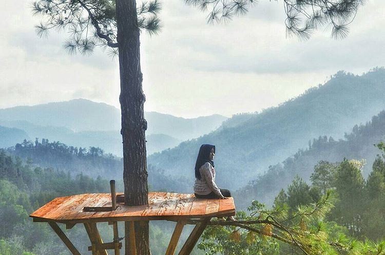 Obyek wisata Hutan Pinus 