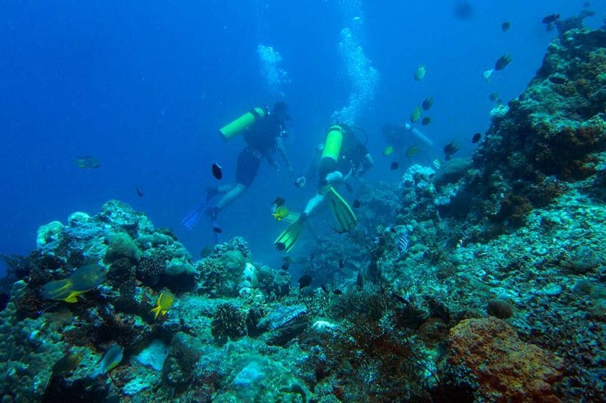 Taman Nasional Bali Barat