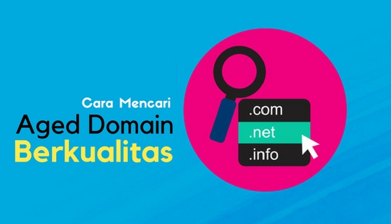 Cara Mencari aged domain berkualitas