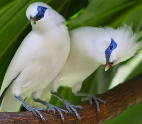 Taman Nasional Bali Barat