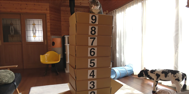 Channel Youtube paling aneh