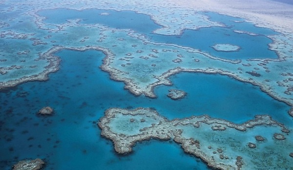 The Great Barrier Reef, Australia