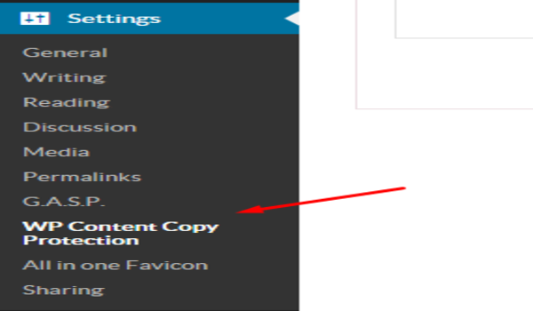 Settings di WordPress