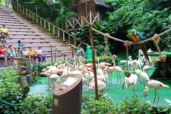 Berwisata ke Singapura