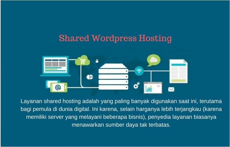 shared wordpress hosting