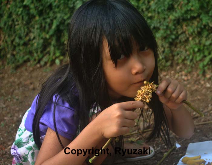 Memperbaiki Hasil Foto