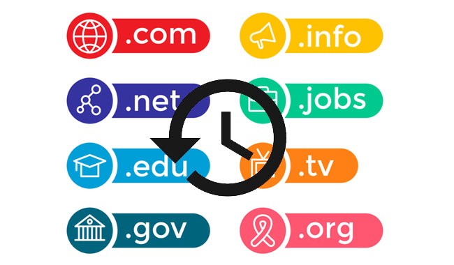 memeriksa riwayat domain