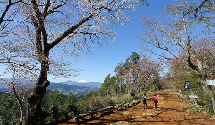  Takao mountain