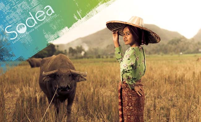 Aplikasi Profil desa